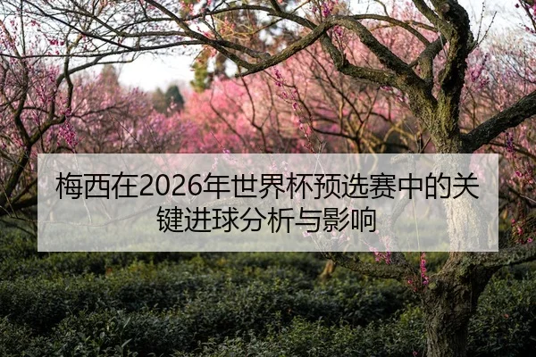 梅西在2026年世界杯预选赛中的关键进球分析与影响
