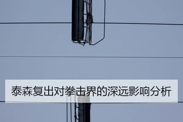 泰森复出对拳击界的深远影响分析