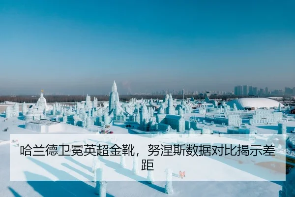 哈兰德卫冕英超金靴，努涅斯数据对比揭示差距
