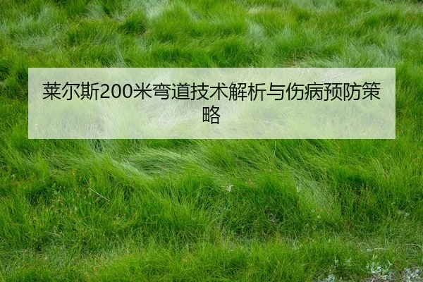 lai-er-si-mi-wan-dao-ji-shu-jie-xi-yu-shang-bing-yu-fang-ce-lve-2-350.jpg