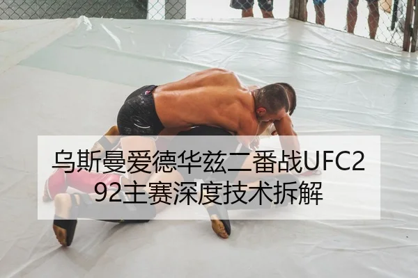 乌斯曼爱德华兹二番战UFC292主赛深度技术拆解