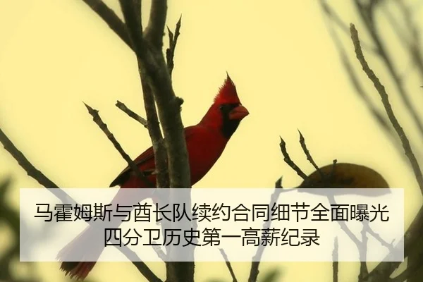马霍姆斯与酋长队续约合同细节全面曝光 四分卫历史第一高薪纪录